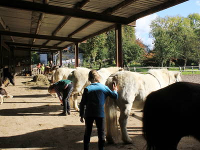 Stall- und Putzgasse und am Reitplatz