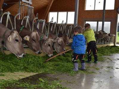 Jeden Abend im Stall helfen - das ist Freude pur!