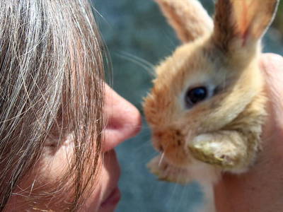 Bild 13 aus  Gasserhof B&B - Appartement