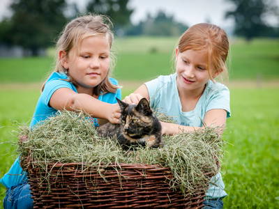 Bild 24 aus  LandSelection Hussnhof - Farm Lodge