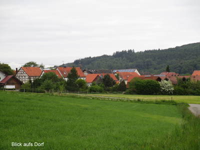 Bild 4 aus  Bauernhof Büchsenschütz