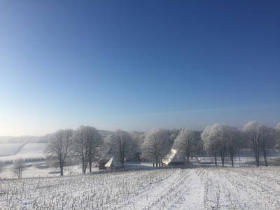 Bild 37 aus  Dreiseithof Schmadebeck