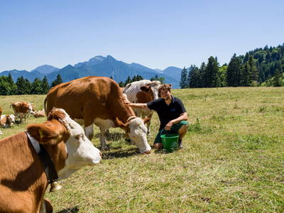 Bild 12 aus  Großrachlhof