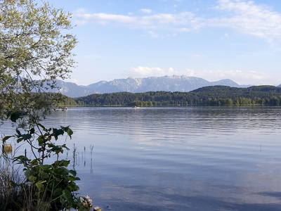 Bild 14 aus  Biohof-Rechenmacher GbR