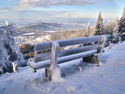 Bild 55 aus  Arber Lofts