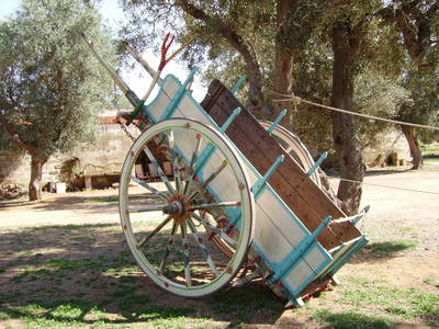 Bild 2 aus  Urlaub auf dem Lande zwischen den zwei Meeren - Apulien - Salento