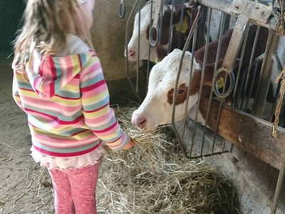 Im Stall mit den Kindern