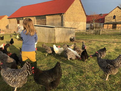 Bild 4 aus  Braunsberger Höfe