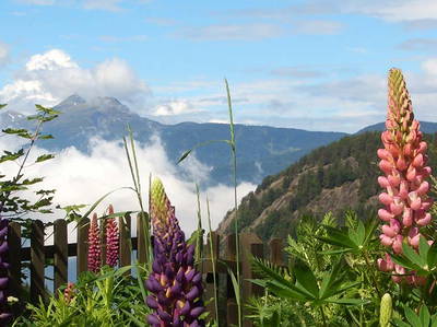 Bild 12 aus  Steinerhof