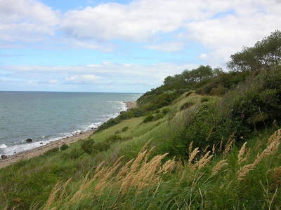 Bild 38 aus  Alte Schule Mechelsdorf - Idylle zw. Rerik und Kühlungsborn - 2,5 km zur Ostsee