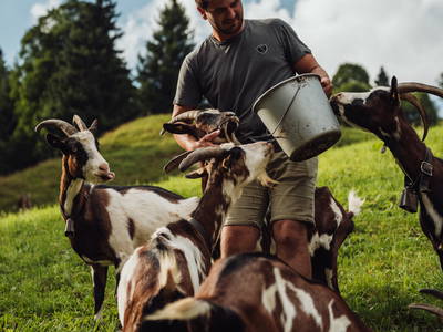 Bild 35 aus  Martenhof