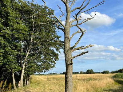 Bild 18 aus  Ferienhof Deichkind