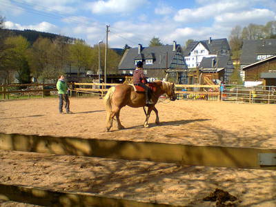 Bild 21 aus  Ferienbauernhof Voß