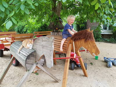 Bild 14 aus  Schümannhof