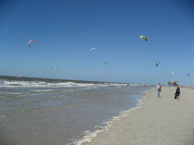 Bild 67 aus  Ferienhof Peter -  Ponys - streicheln, striegeln, füttern  -  Wattwanderungen + ganz viel Nordsee