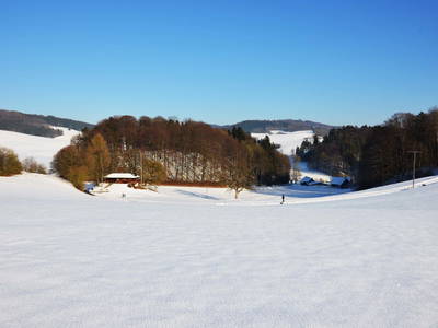 Bild 24 aus  Landurlaub im Sauerland auf dem Ferienhof Verse