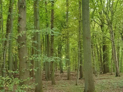 Der Schattiner Zuschlag - ein echtes Kleinod