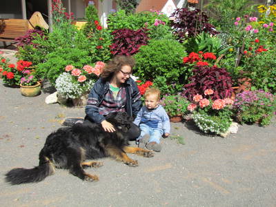 Bild 6 aus  Lautersheimer Gutshof