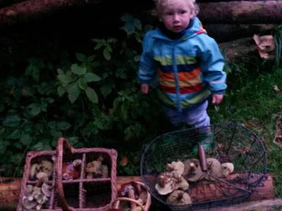 Bild 14 aus  Grenzer Ökohof