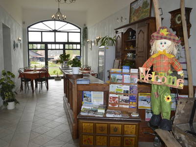 Bild 5 aus  Heu-Ferienhof Altkamp