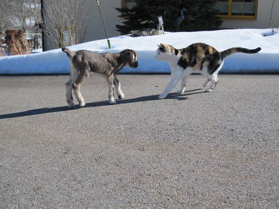 Bild 22 aus  Landhaus Rombach