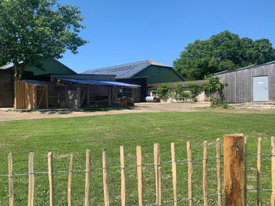 Campingstellplätze mit Blick auf den Tierbereich