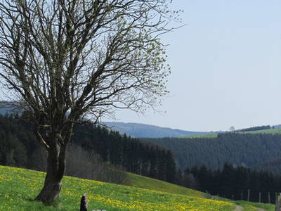 Bild 11 aus  Hof Dödesberg