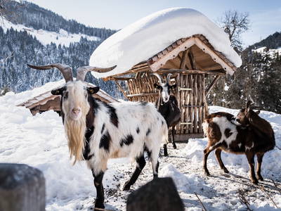 Bild 22 aus  LandSelection Proneben Gut