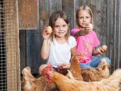 Bild 11 aus  Schädlerhof