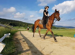 "Forellen - Reiterhof" 5 Sterne Hof direkt am See - geschulter Reitunterricht