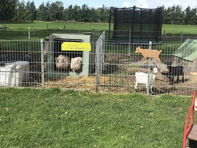 Bild 17 aus  Schwalbenhof