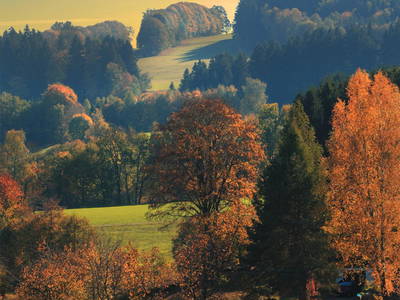 Bild 62 aus  Paulas Bauernhof im Bayerischen Wald