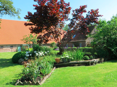 Bild 7 aus  Landhaus Hof Hodens