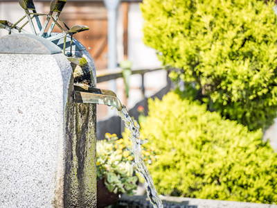 Foto von Oberpfälzer Wald