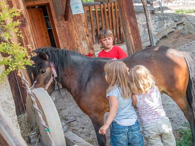Bild 28 aus  Wieserhof