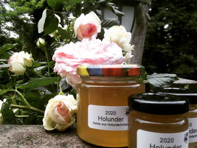 Bild 21 aus  Schloss Neuhausen