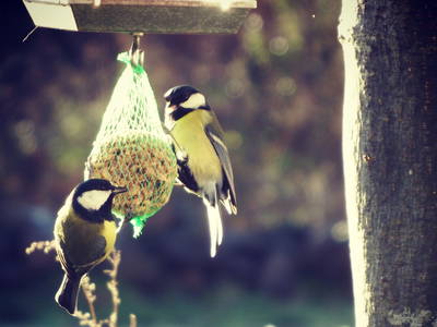 Bild 8 aus  Ferienhof Rauchhaus