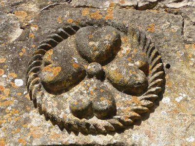 Kleeblatt über unserem Scheunentor