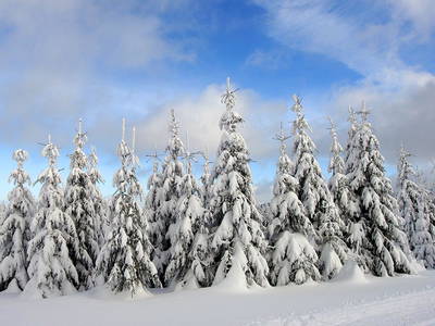Bild 6 aus  Waldhotel Feldbachtal