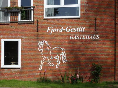 Bild 11 aus  Fjordgestüt Süderstapel GbR