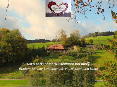 Bild 2 aus  „Hernis-Höfle“ Wohlfühlambiente im Elztal  5⭐️Sterneferien.