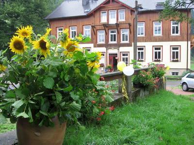 Bild 5 aus  Körnermühle