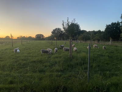 Bild 21 aus  Neulandhof-Spöring