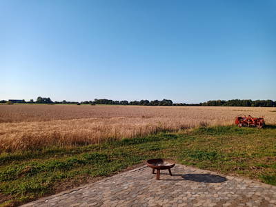 Bild 11 aus  Erholung auf dem Bauernhof