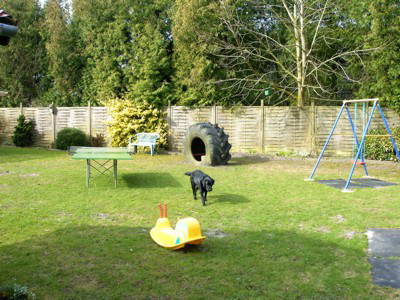 Bild 5 aus  Ferienhof Röhling