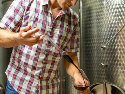 Bild 16 aus  Weingut & Buschenschank Pölzl