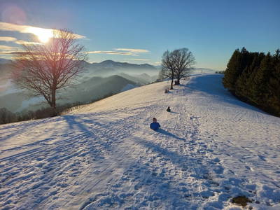 Bild 12 aus  Ferienhof Schneiderweg