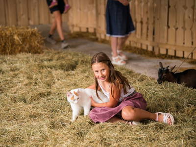 Bild 113 aus  Linharterhof Zimmer