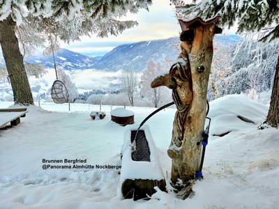 Bild 53 aus  Panorama Almhütte Nockberge