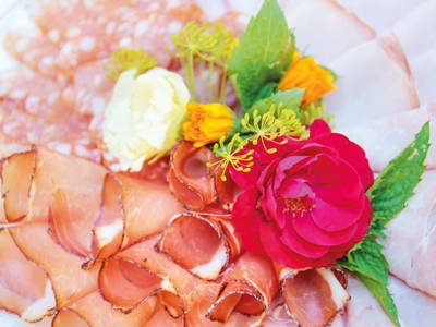 Bild 33 aus  Winzerhof & Buschenschank BOCKMOAR